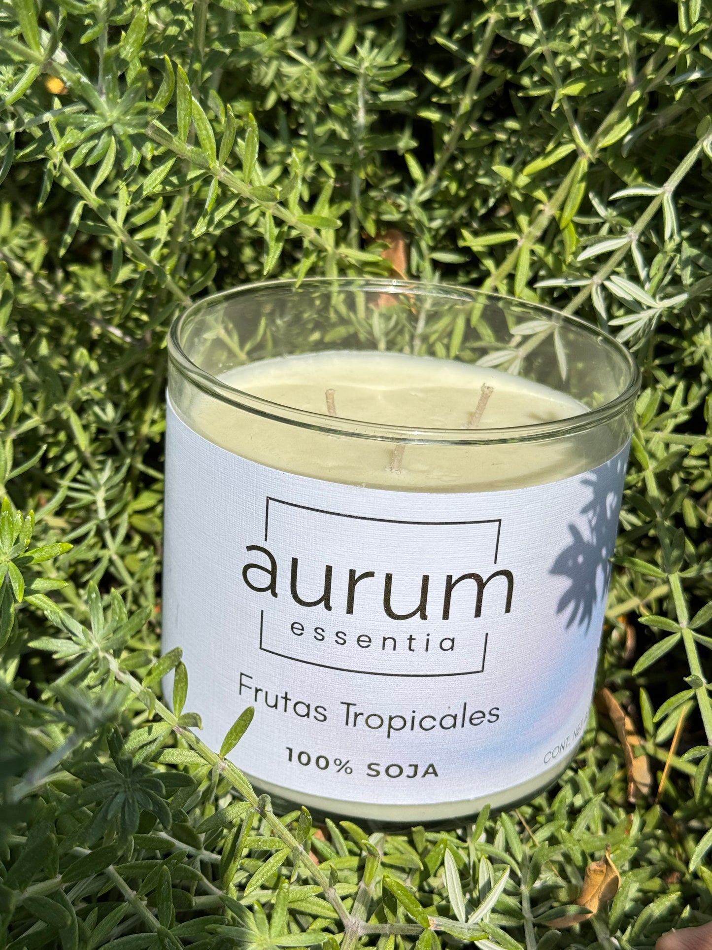 Frutas Tropicales 400 gr.