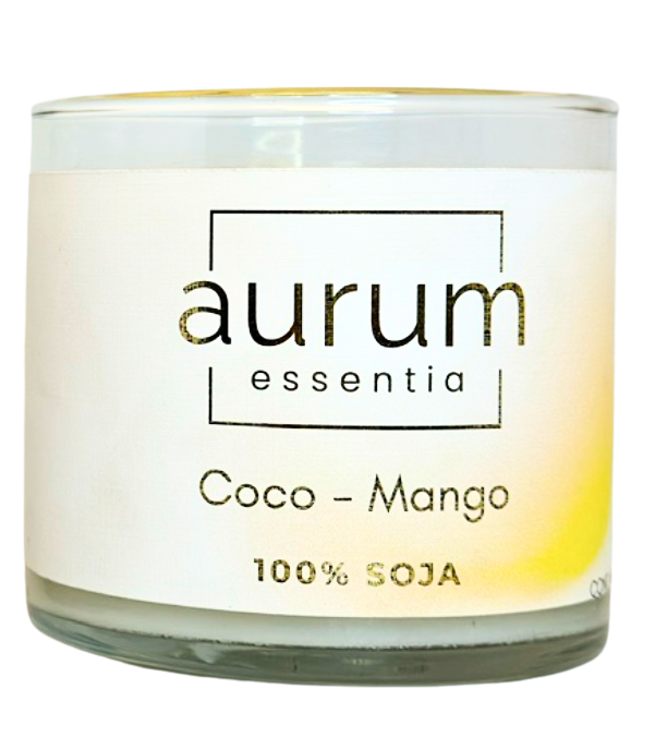 Coco Mango 400 gr.