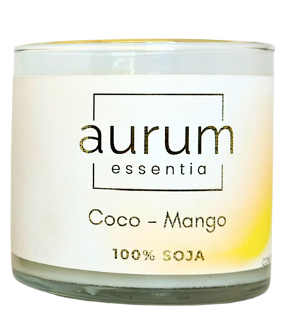 Coco Mango 400 gr.